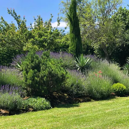 Διαμέρισμα Le Tilleul *