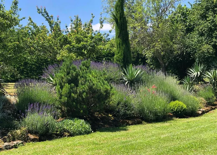 Апартаменты Le Tilleul *